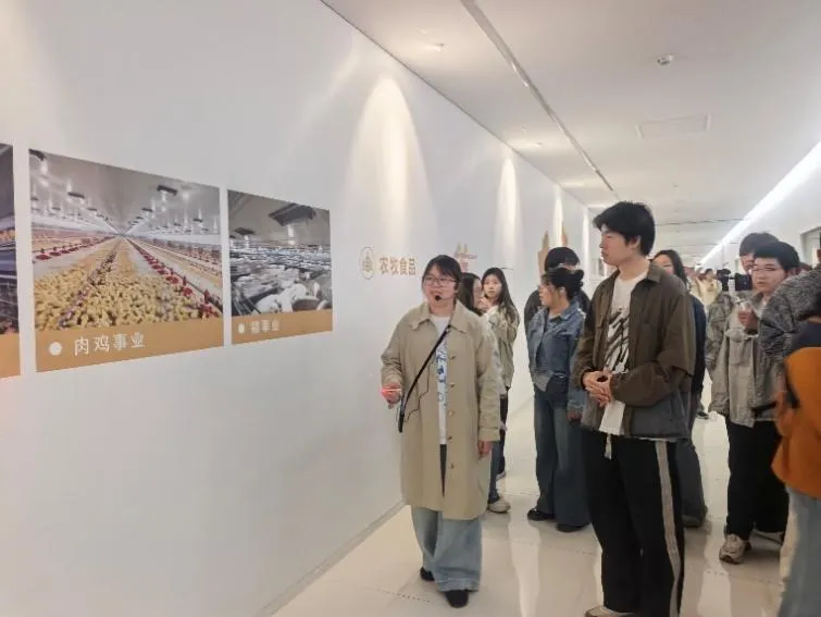 内蒙古自治区呼和浩特市和林格尔新区