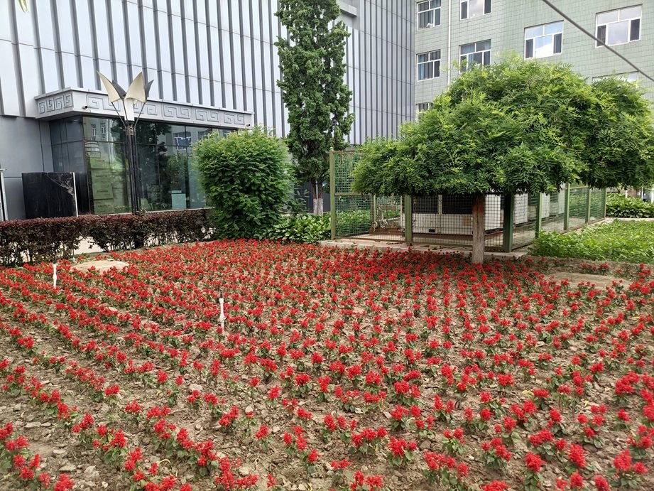 建议先扫读标题与摘要