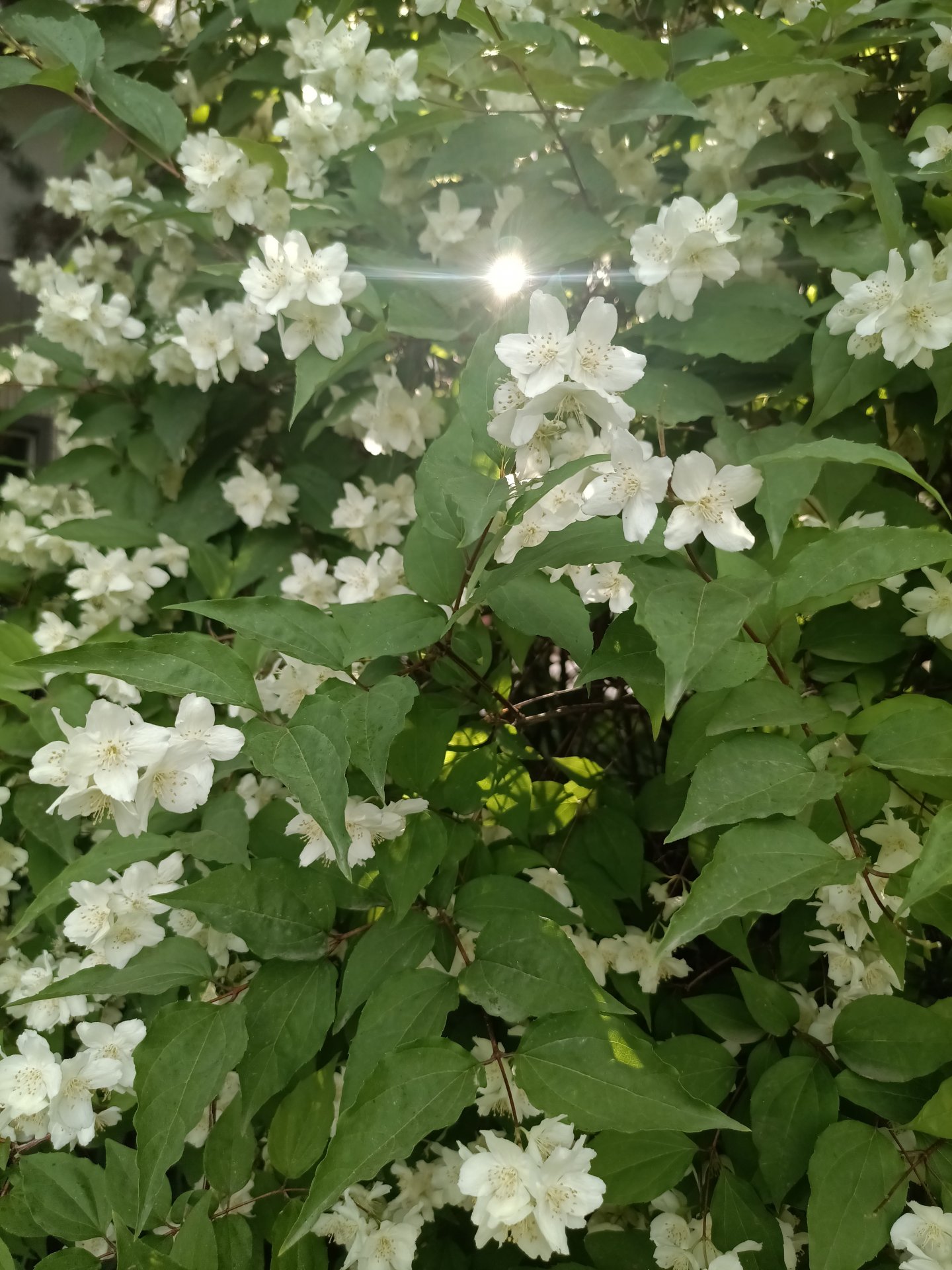 建议先扫读标题与摘要