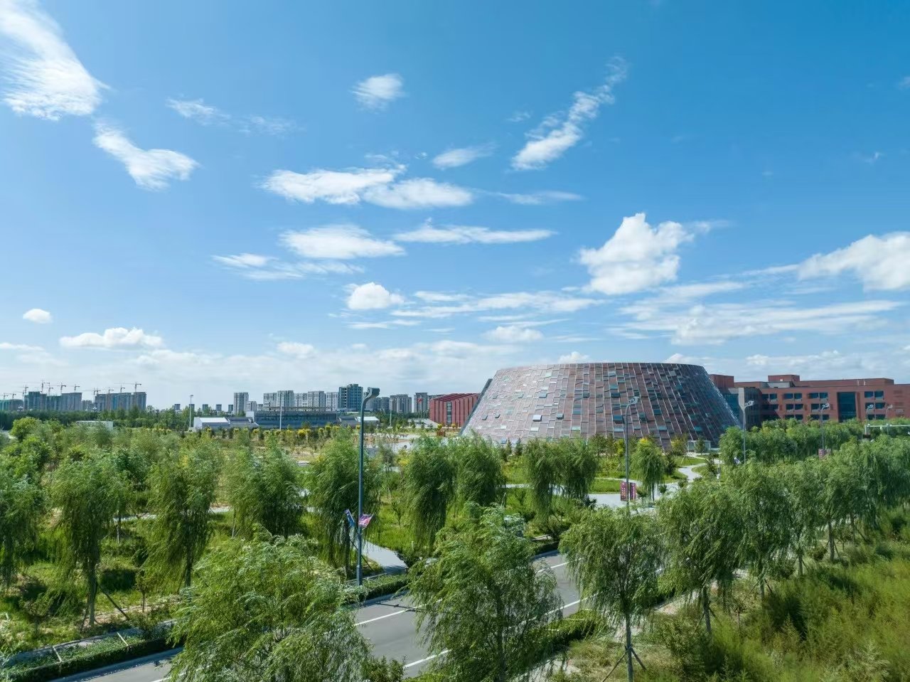 建议先扫读标题与摘要